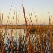 John Kaiser's photo