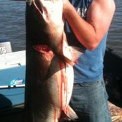 Clint Burnett's photo