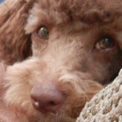 Bette Vellis's photo