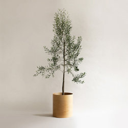 Flor Planter - Indoor Pots And Planters