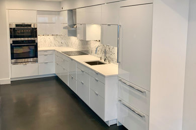 Kitchen photo in DC Metro