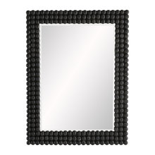 Bathroom Mirror/Cabinet