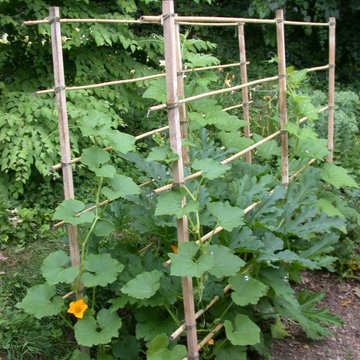 Edible Gardens
