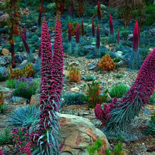jardines