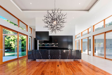 Modern galley open plan kitchen in Orange County with flat-panel cabinets, black cabinets, stainless steel appliances, medium hardwood floors and with island.