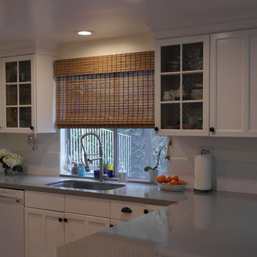 Kitchen and Living Room Remodel
