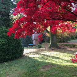 Autumn Nest Swing - Swings & Playsets