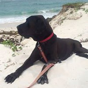 Nicolas Lorde's photo