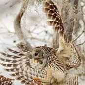 David Parker's photo
