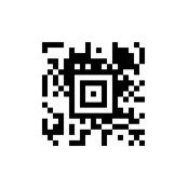 Nicolas Coulon's photo