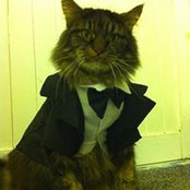 Leanne Evertsen's photo