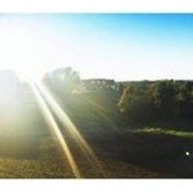 Laura Matthews's photo