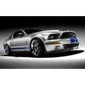 Michael Levitre's photo