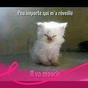 Christine Chardon's photo