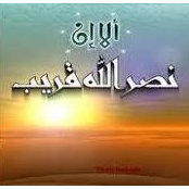 Mostafa Bahbah's photo