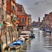Amr Refat's photo