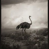 Angela Spinney's photo