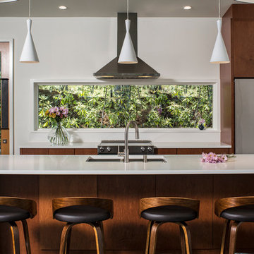 Black Mountain Residence