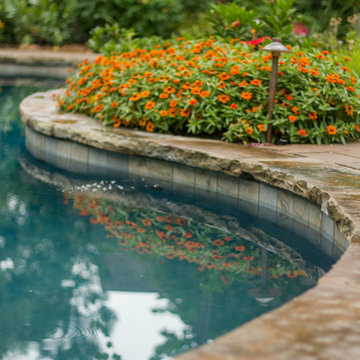 Deep Teal Custom Swimming Pool with Bright Landscaping