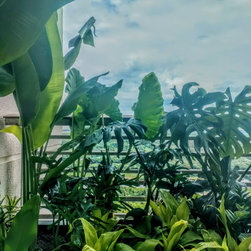 miracle grow - Products
