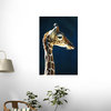 Head of a Young Giraffe Wall Mural - 72 Inches H