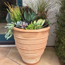 Patio & Garden