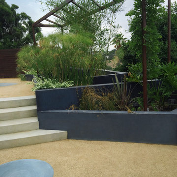 Echo Park/Silverlake Contemporary Backyard