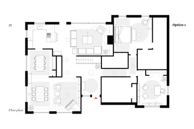Whole Home Renovation Plan