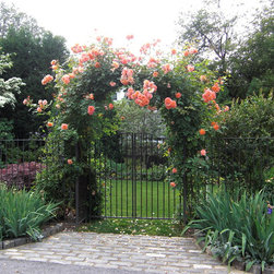 Solid Copper Rose Trellis in full bloom - Home Fencing And Gates
