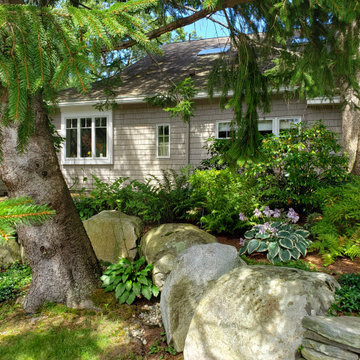 Design around existing trees