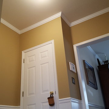 Interior Painting/ Electrical/ Trim Instalation