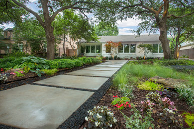 Trendy home design photo in Dallas