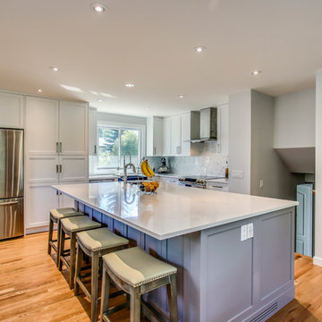 Dalhousie - Main Floor Renovation