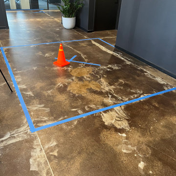 NPS 20,000 sqft Concrete Floor Restoration