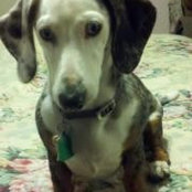 Carol Ann Kaminsky's photo