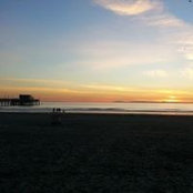 Whitney Allison's photo