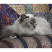 Katherine Hauser's photo