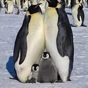 Brett Hakala's photo