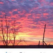 Martha Derocher's photo