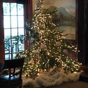 Faren Edwards's photo