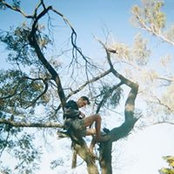 Dominic McDowall's photo