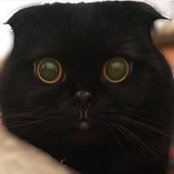 Artem Matrosov's photo