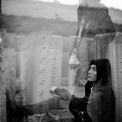 Dinh Lee's photo