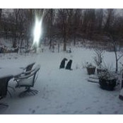 Mary Schulz's photo