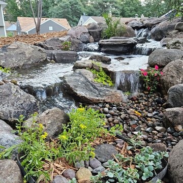 Pond Renovation
