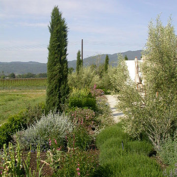 Our Projects