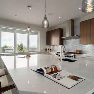 Dunlop Ave Burnaby Build