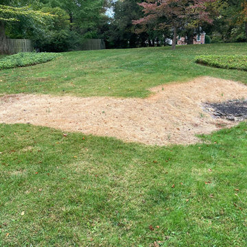 Creating Low-Maintenance Gardens for Lasting Beauty and Delight in Radnor