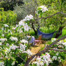 Landscape Ideas
