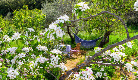 Platz an der Sonne: So gestalten Sie eine Sitzecke im Garten